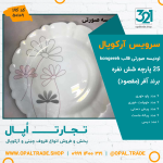 سرویس25 پارچه آفر اودیسه صورتی قالب کنگره کد 50109