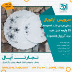 سرویس 25 پارچه آیروپال سانای نقره ای قالب کنگره کد 50124