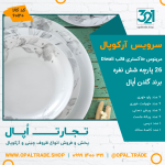 سرویس 26 پارچه مرینوس خاکستری قالب Diwali کد 60120