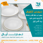 سرویس 26 پارچه سفید لب طلا قالب Bone کد 60135