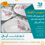 سرویس 26 پارچه آذین صورتی قالب Carine کد 60147