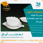 دیس برگ کوچک کد90154