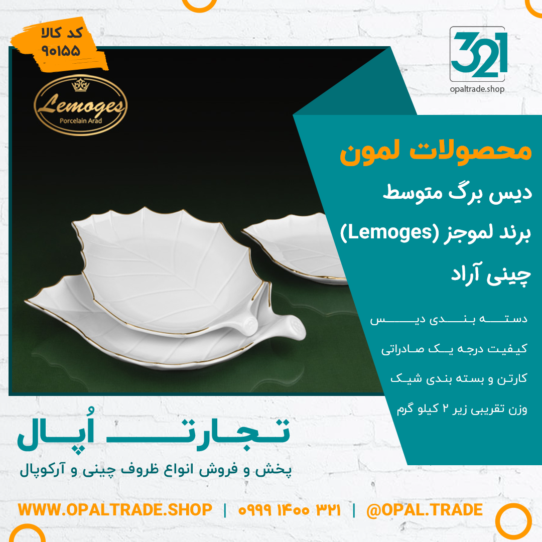 product-post-LemonDis-90155- دیس برگ متوسط کد90155