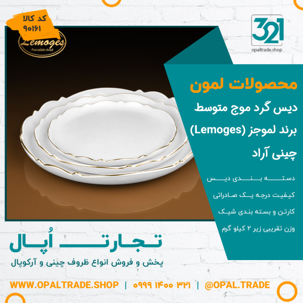 دیس گرد موج متوسط کد90161