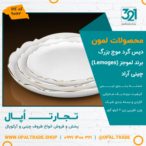 دیس گرد موج بزرگ کد90162