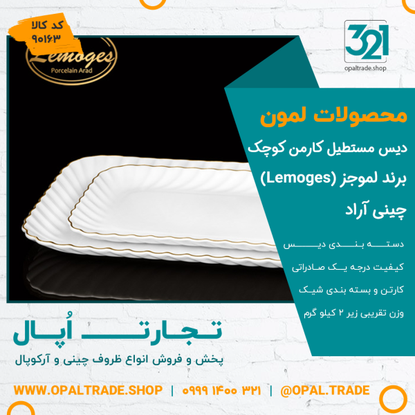 دیس مستطیل کارمن کوچک کد90163