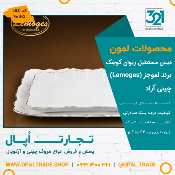 دیس مستطیل ریوان کوچک کد90165