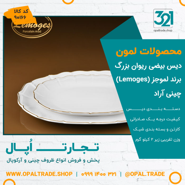 دیس بیضی ریوان بزرگ کد90166