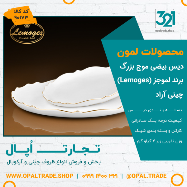 دیس بیضی موج بزرگ کد90173