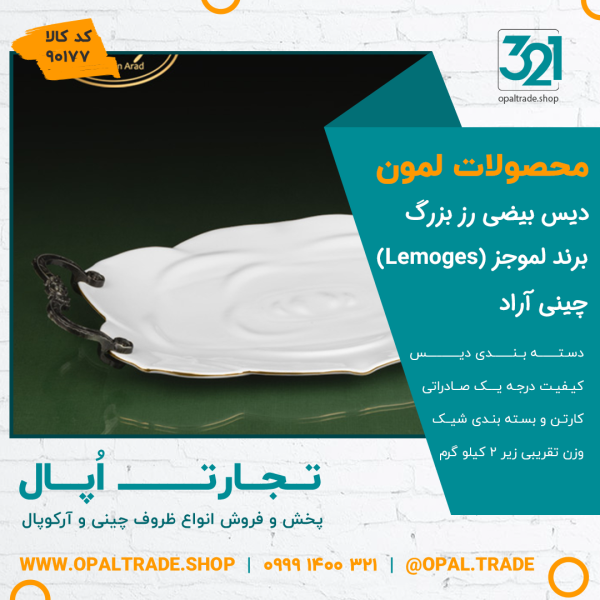 دیس بیضی رز بزرگ کد90177
