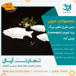 دیس طرح ماهی بزرگ کد90185