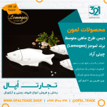 دیس طرح ماهی متوسط کد90186