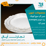 دیس گرد موج کوچک کد90196