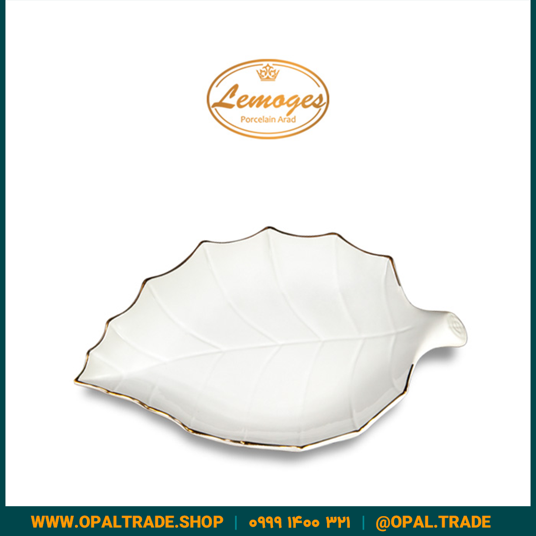 product-post-LemonDis-bigpic-90155-3 دیس برگ متوسط کد90155
