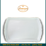 دیس مستطیل موج بزرگ کد90159