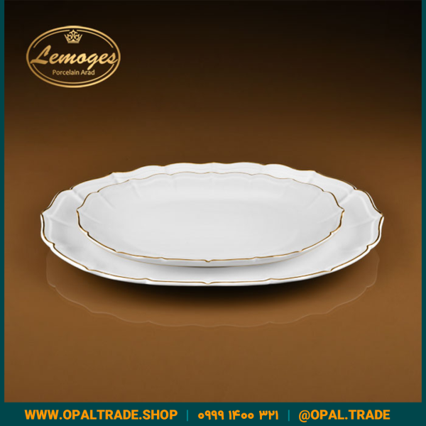 دیس بیضی ریوان کوچک کد90167