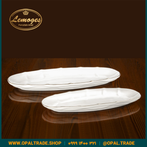 دیس ماهی خوری بزرگ کد90183