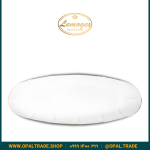 دیس ماهی خوری بزرگ کد90183