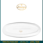 دیس ماهی خوری کوچک کد90184