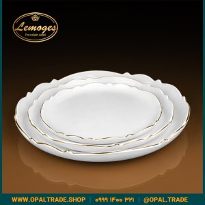 دیس گرد موج کوچک کد90196