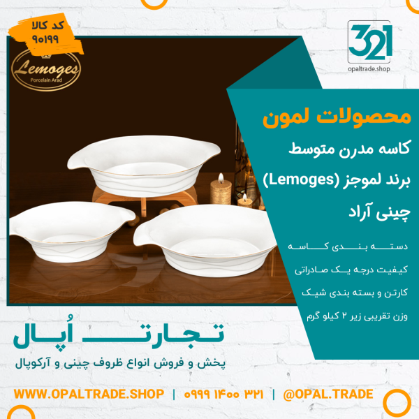 کاسه مدرن متوسط کد90199