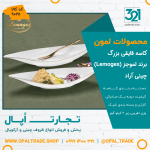 کاسه قایقی بزرگ کد902111
