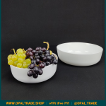 ست دو پارچه کادویی کاسه آرکوپال دینو کد 30100 - Image 5