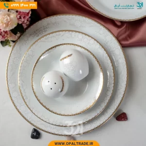 سرویس 30 پارچه شش نفره چینی توس کد 40142