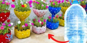 "۱۰ ترفند کاربردی برای استفاده دوباره از وسایل پلاستیکی دورریختنی در خانه، صرفه‌جویی اقتصادی و سبک زندگی پایدار – همین حالا امتحان کن!"