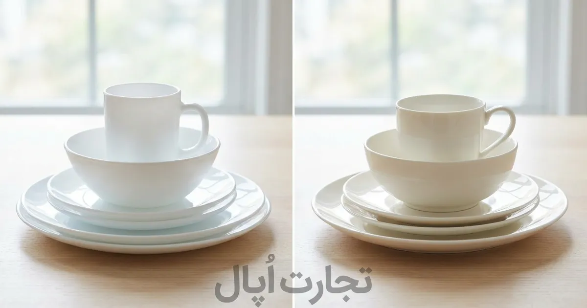 مقایسه ظروف چینی زرین با سرویس آرکوپال